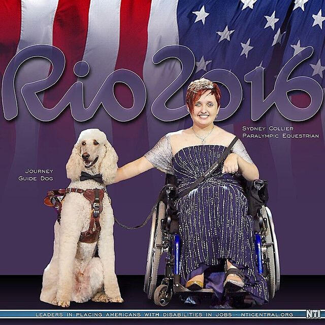 Sydney Collier Equestrian